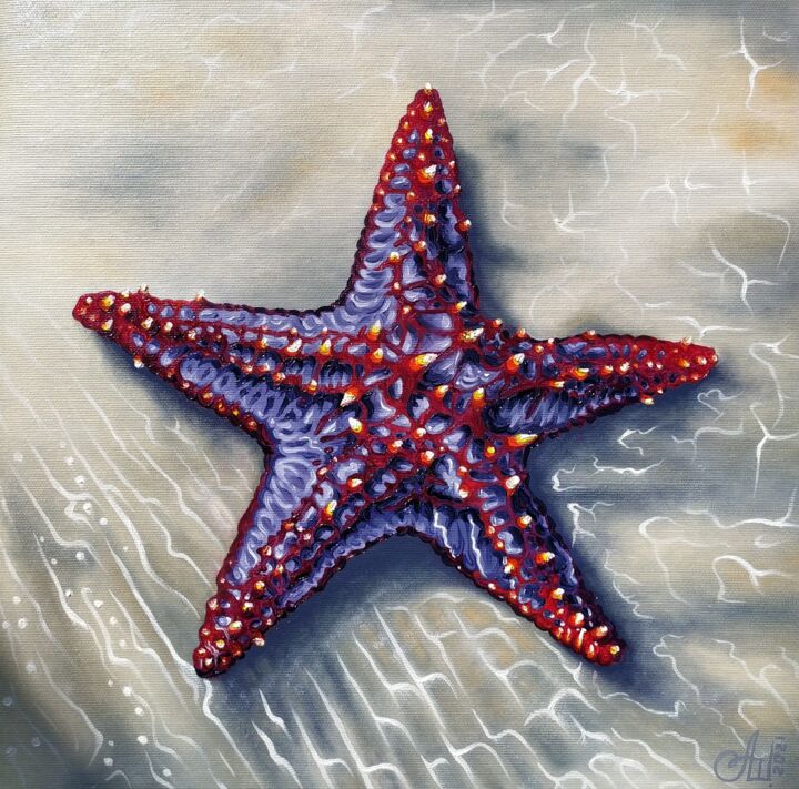 Starfish 绘画, 13.8x13.8 in