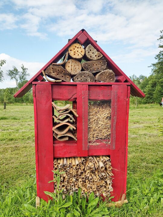 Photography titled "Maison  d'insectes…" by Tc.Photographie, Original Artwork, Digital Photography