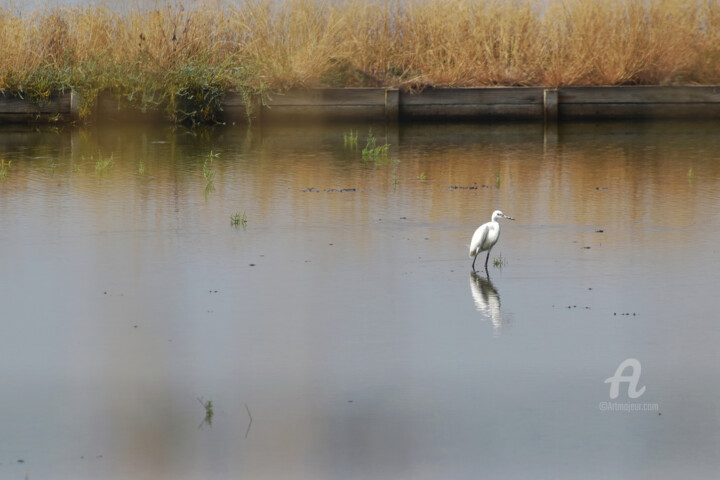 Salt field 摄影