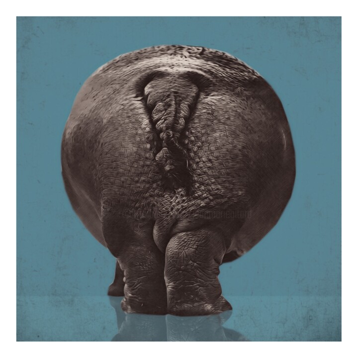 Hippopotamus 数字艺术, 19.7x19.7 in