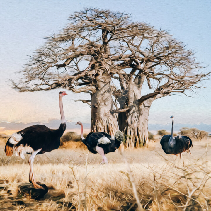 Ostriches on the background of the wild African nature. 数字艺术