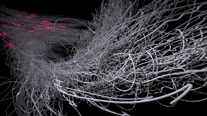 Digital Arts 