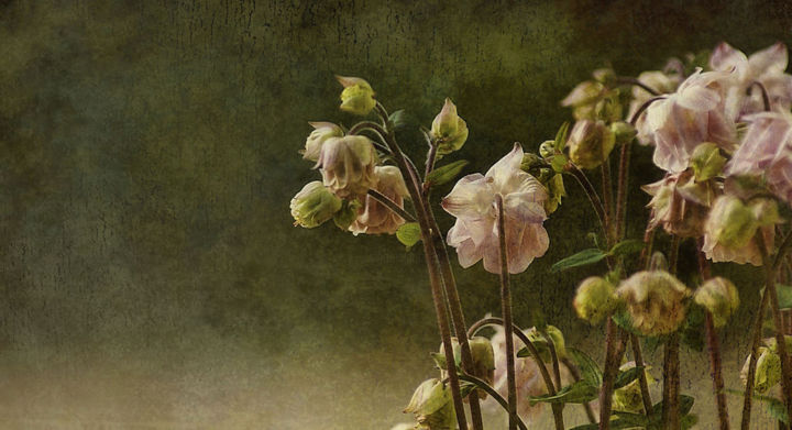 Photography titled "Beau Bouquet." by Dave English, Original Artwork, Digital Photography