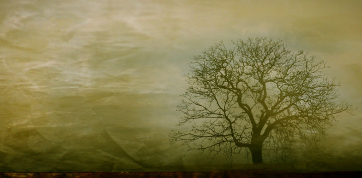 Photographie intitulée "Nature." par Dave English, Œuvre d'art originale, Photographie numérique