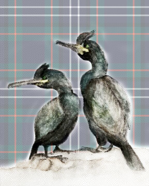 Digital Arts titled "Shags on Rocks. 2nd…" by Endruma, Original Artwork, 2D Digital Work