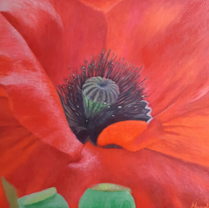 Coquelicot 绘画, 19.7x19.7 in