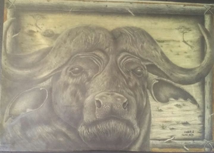 Stubborn 图画, 37.4x21.7 in