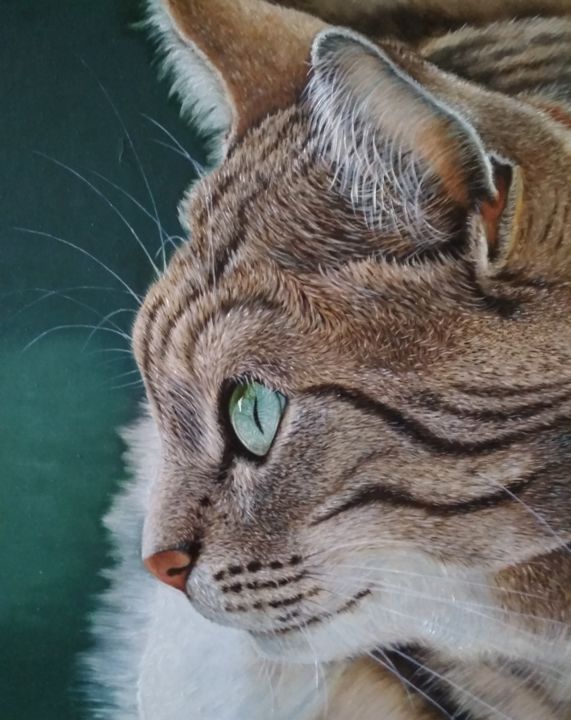 Cat portrait 绘画, 20.5x16.5 in