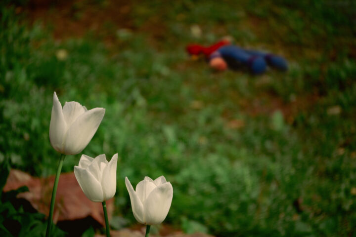 Photography titled "Go out and play" by Blamemrken, Original Artwork, Digital Photography