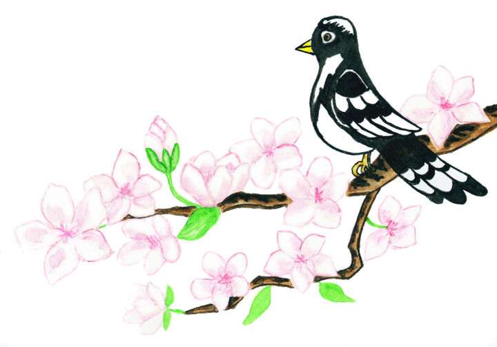 Bird on branch with white flowers 绘画, 8.3x11.8 in