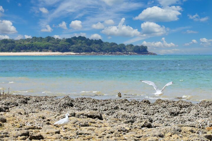Photography titled "Fouras-Ile d'Aix" by Tc.Photographie, Original Artwork, Digital Photography