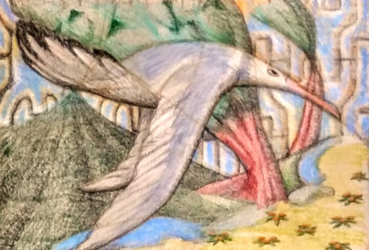 The Seagull in the Mountains 图画, 5.5x8.5 in