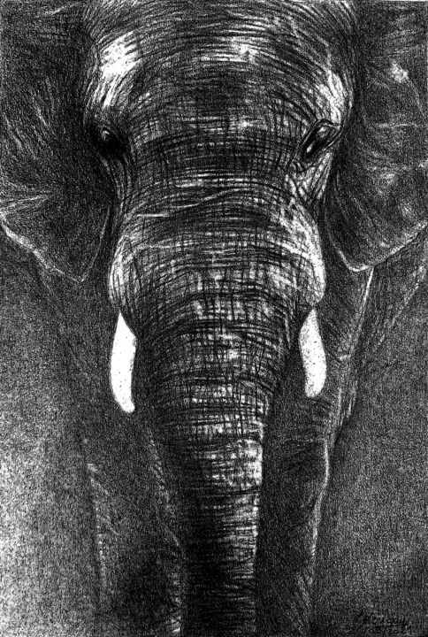 图画,  10.2x6.9 in 