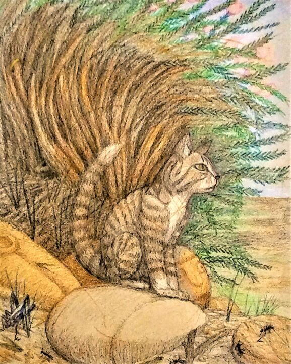The Wild Cat 图画, 14x11 in