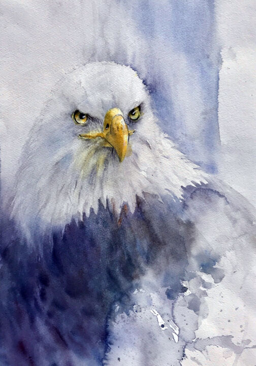 Peinture intitulée "Pygargue à tête bla…" par Danièle Fraboulet, Œuvre d'art originale, Aquarelle
