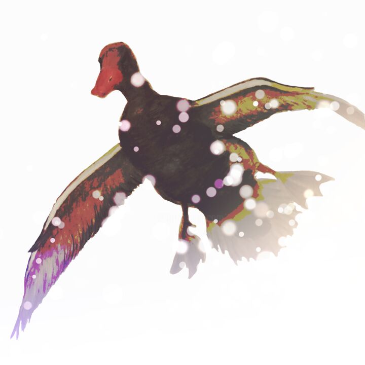 Digital Arts titled "Goose incoming" by Endruma, Original Artwork, 2D Digital Work