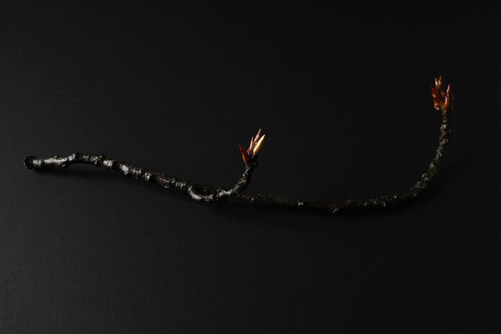 La branche Drawing, 10.2x3.2 in