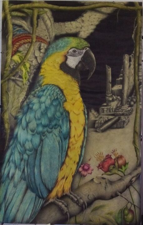 Mccaw 图画, 33.5x21.3 in