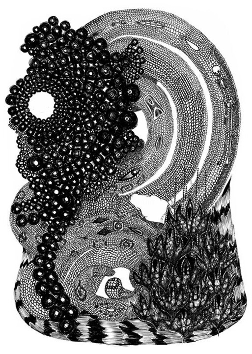 Serpent de corail 图画, 15.8x11.8 in