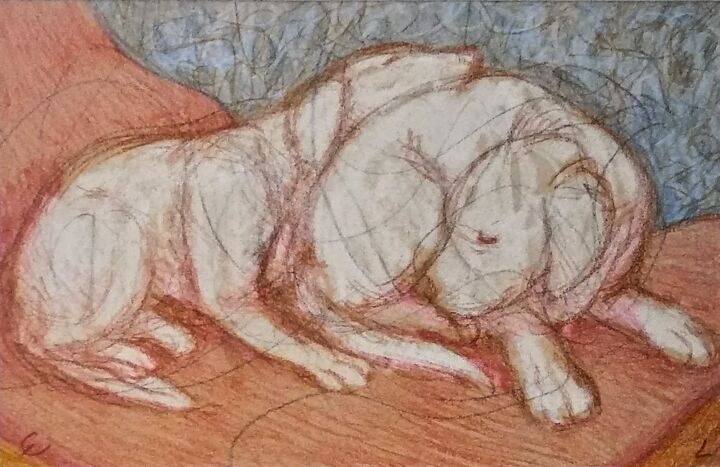 图画,  5.5x8 in 