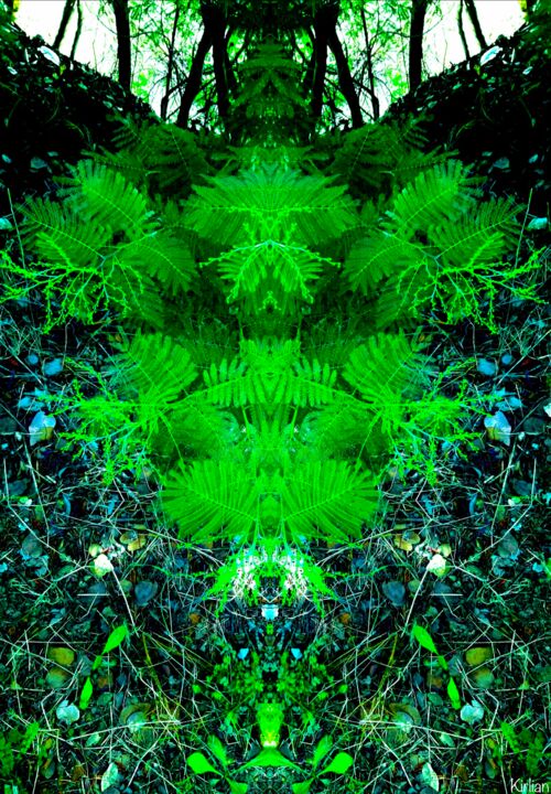 Le Seigneur des Fougères, Photographie Nature 数字艺术