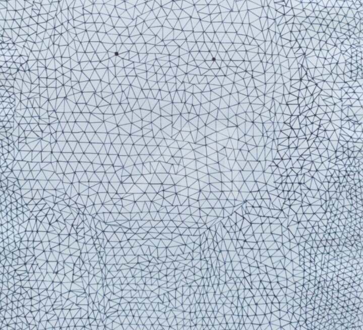 图画,  15.9x11.6 in 