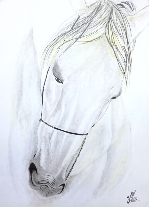 Crin blanc 图画, 15.8x11.8 in