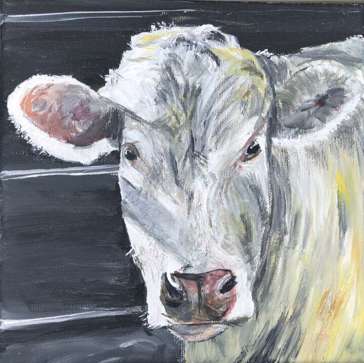 Head of white cow 绘画, 7.9x7.9 in