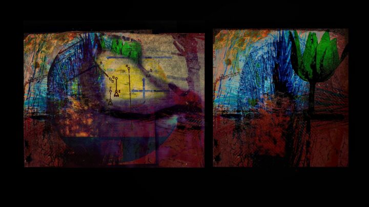 Subsoil Regeneration 摄影, 19.9x35.4 in