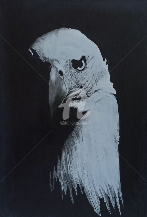 Rapace 2 图画, 19.7x15.8 in