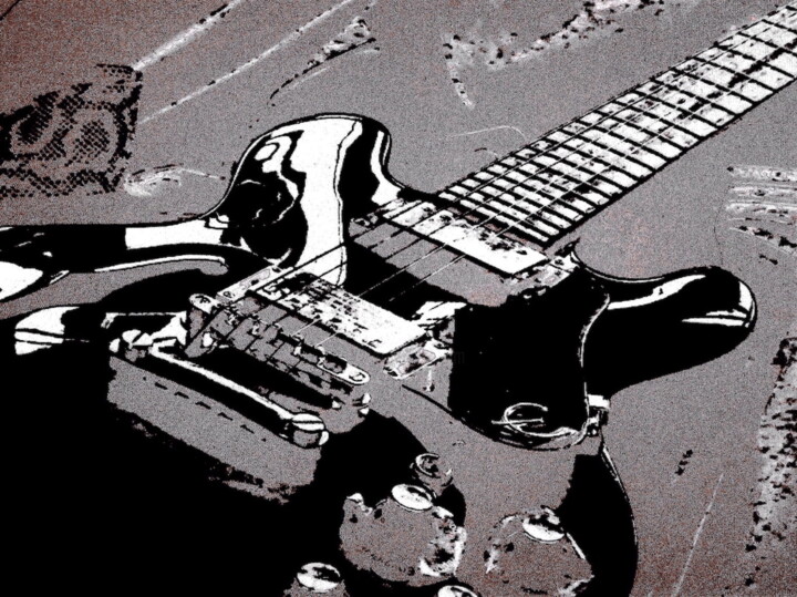 Guitar 7c2g 摄影, 30x40 in