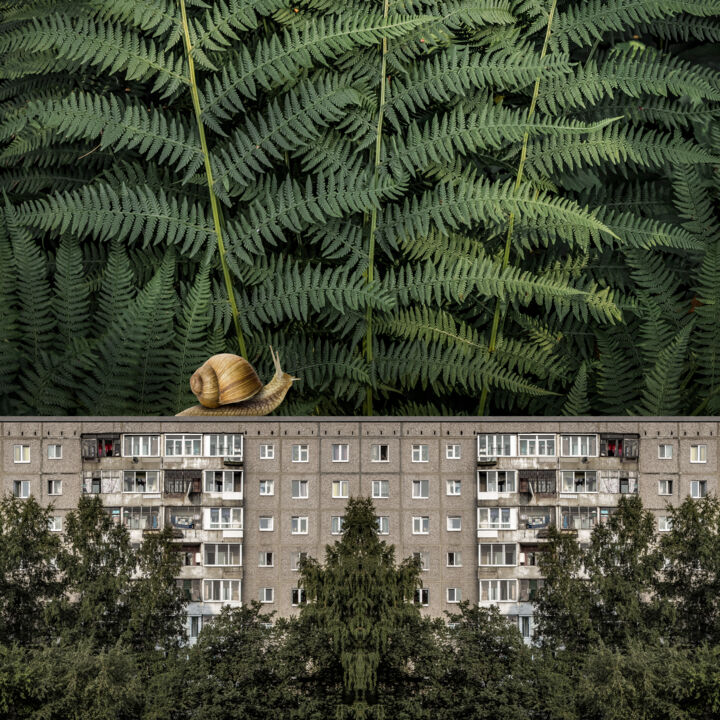 Улитка 摄影