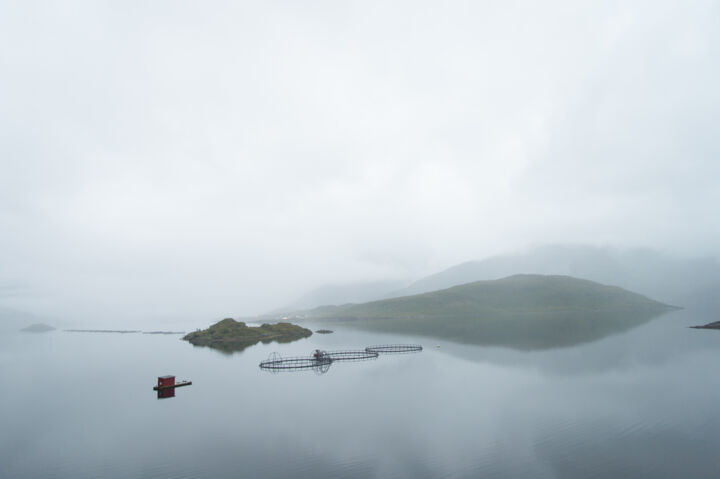 Photography titled "Paysage brumeux des…" by Cbaud, Original Artwork, Digital Photography