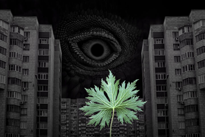 Познание 摄影