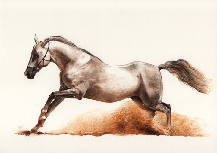 Running Horse 图画, 8.3x11.7 in
