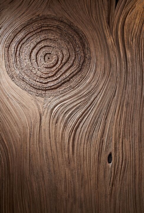 Sculpture titled "In the Stream of th…" by Dmitrii Solodcenco, Original Artwork, Wood