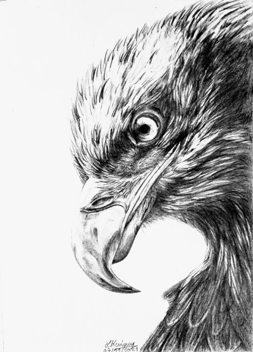 Aigle 图画, 10.6x7.7 in