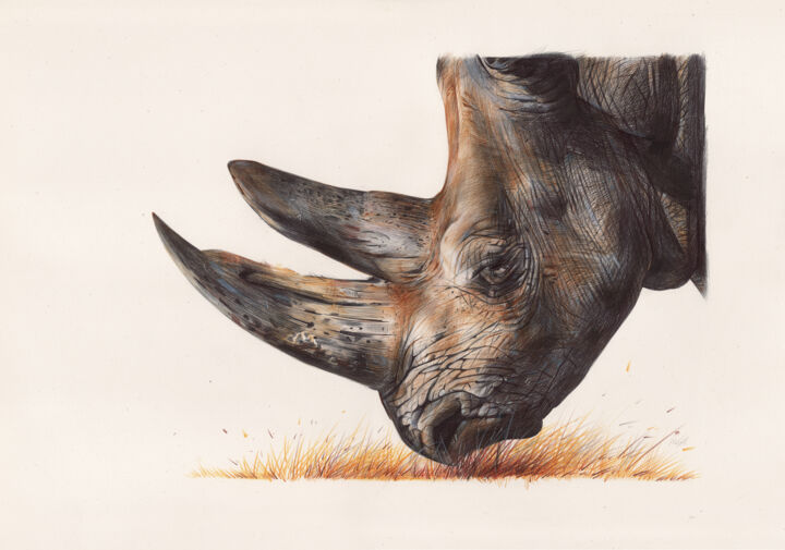 White Rhinoceros - Animal Portrait 图画, 13.8x20.9 in
