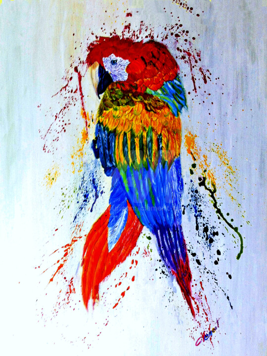 S020-Colorful Parrot 绘画, 24x20 in