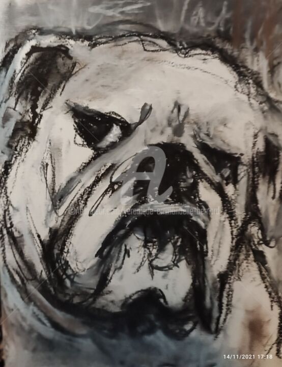 Albert 绘画, 11.7x8.3 in