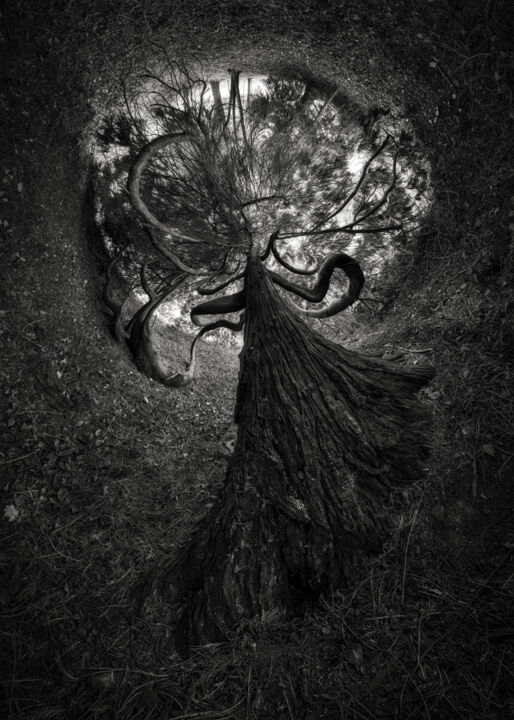 Photography titled "Monstro" by Franck Charles, Original Artwork, Digital Photography