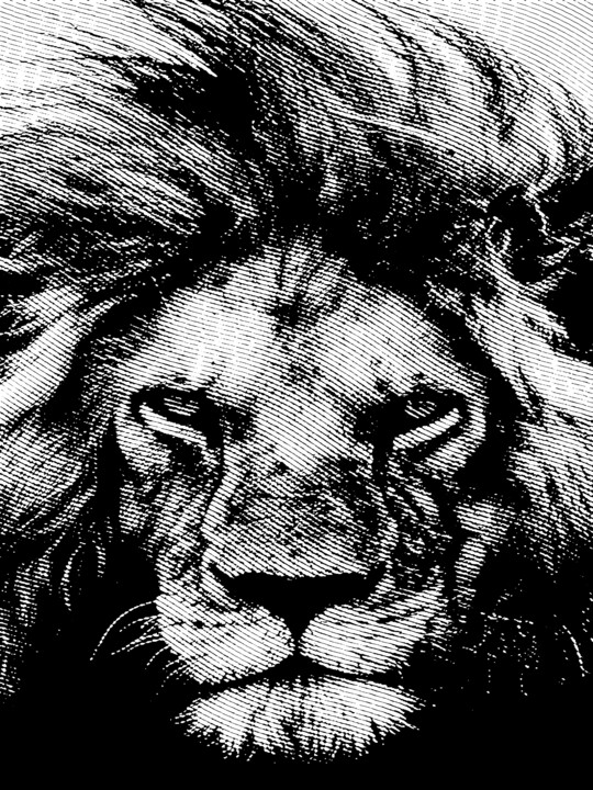 ⚜️ King lion ⚜️ Printmaking, 15.8x11.8 in
