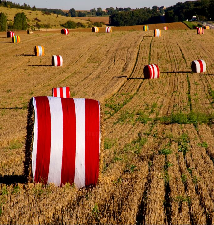 Mon land art public vikings traité de paix 911 雕塑