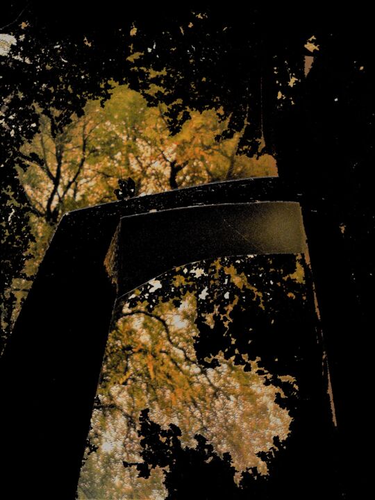 forêt noire 数字艺术