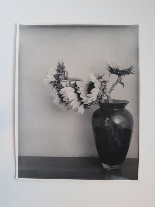 Fotografía titulada "Sunflowers" por Richard Eugene Puckett, Obra de arte original, Fotografía analógica Montado en Otro pan…