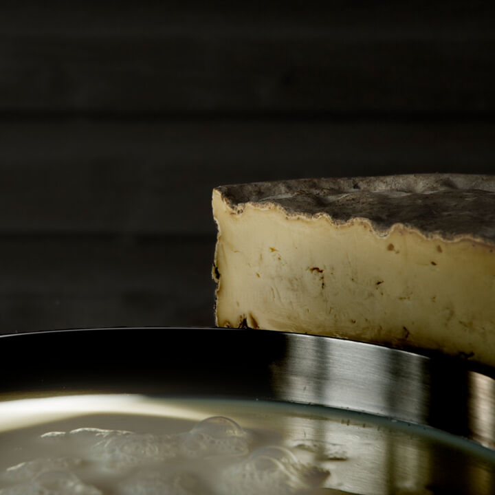 Tomme de Savoie 摄影