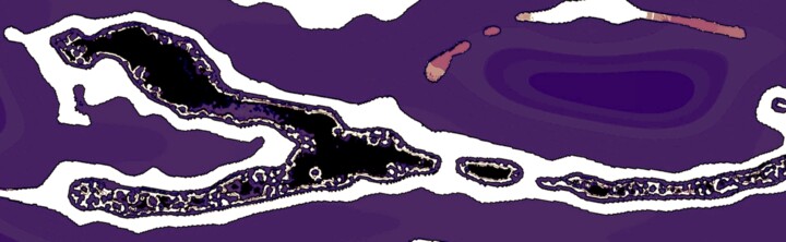 Snake 1b 摄影, 12.3x40 in