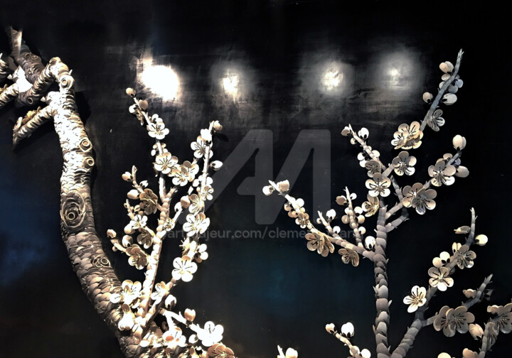 TW29-Silver Tree 摄影