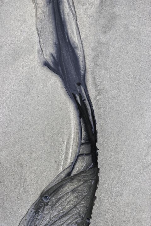 Photographie intitulée "Sans Titre5" par Arnaud Joly, Œuvre d'art originale, Photographie numérique