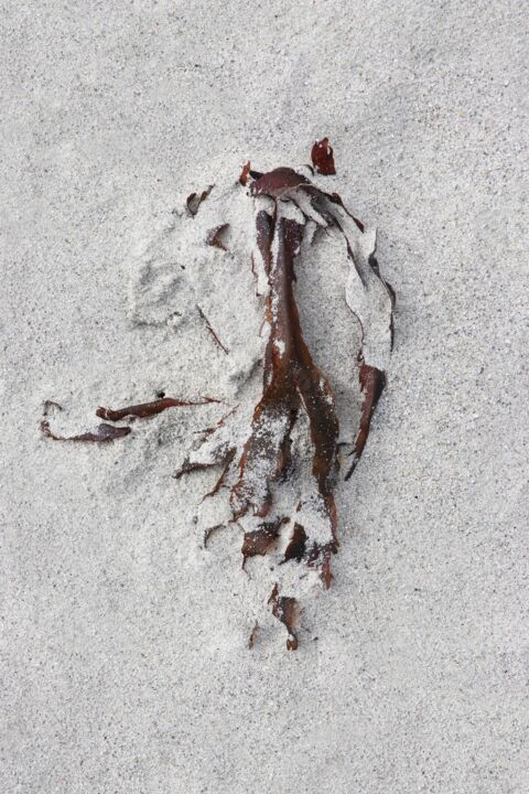 Photographie intitulée "Sans Titre9" par Arnaud Joly, Œuvre d'art originale, Photographie numérique
